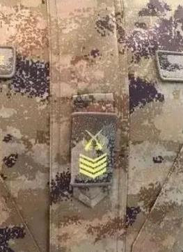 湖州大面外墙建议图案比例协调